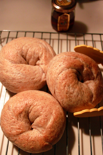 bagle-2.jpg